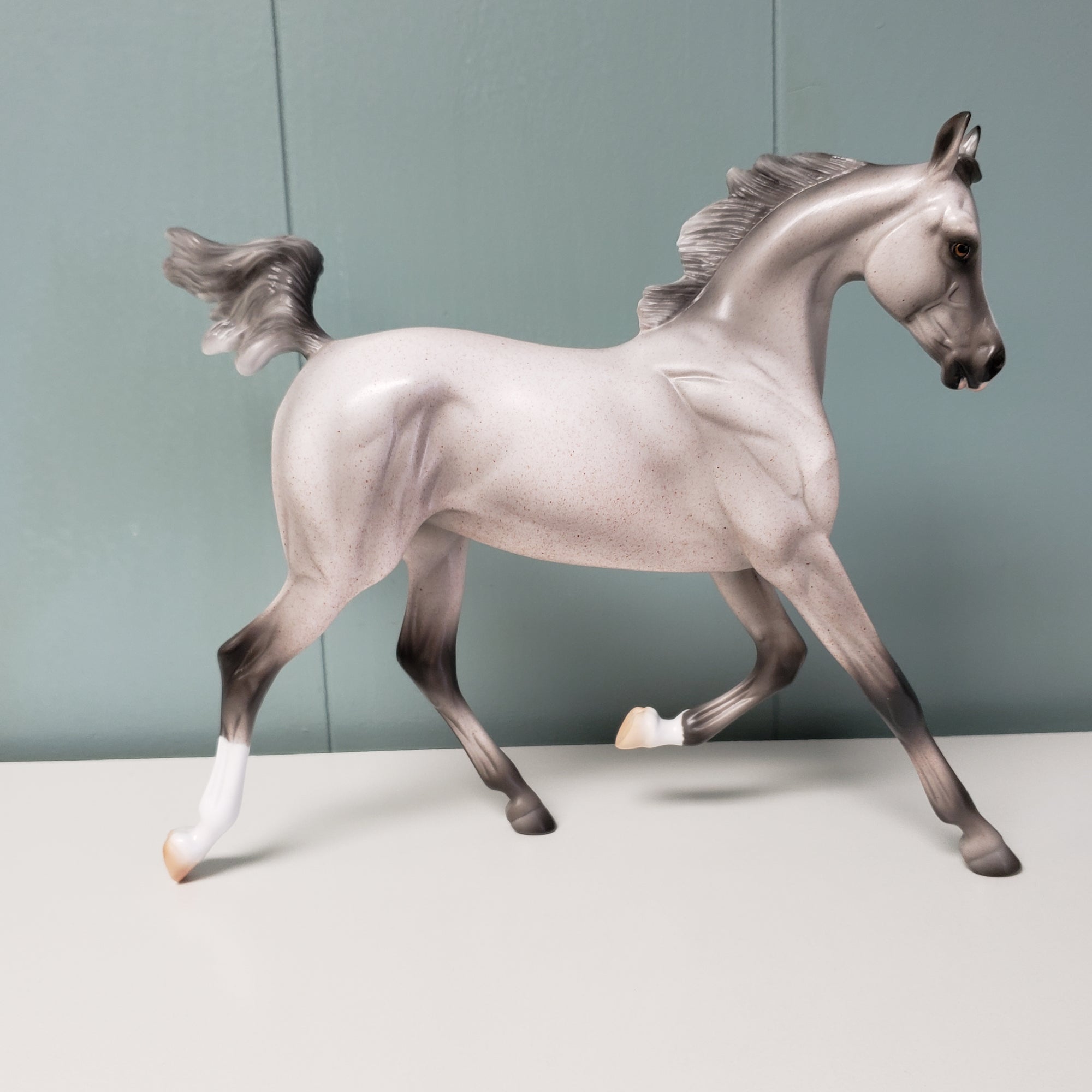 Lunaria OOAK Fleabitten Grey Custom Arabian Yearling By Ashley Palmer - SHCF24