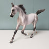 Lunaria OOAK Fleabitten Grey Custom Arabian Yearling By Ashley Palmer - SHCF24