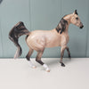 Prairie OOAK Buckskin Arabian Mare By Jess Hamill - SHCF24