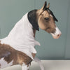 Venture OOAK Dappled Buckskin Tobiano Arab Mare By Dawn Quick - SHCF24