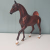 Priorities OOAK Dappled Liver Chestnut Custom Arab Mare By Julie Keim - SHCF24