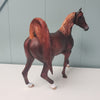 Priorities OOAK Dappled Liver Chestnut Custom Arab Mare By Julie Keim - SHCF24