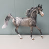 Stars Aligned OOAK Grey Arab Mare Appaloosa By Dawn Quick - SHCF24