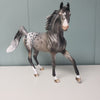 Stars Aligned OOAK Grey Arab Mare Appaloosa By Dawn Quick - SHCF24