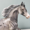 Stars Aligned OOAK Grey Arab Mare Appaloosa By Dawn Quick - SHCF24