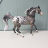 Stars Aligned OOAK Grey Arab Mare Appaloosa By Dawn Quick - SHCF24