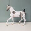 Originality OOAK Dappled Grey Tobiano Arab Mare By Dawn Quick - SHCF24