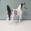 Originality OOAK Dappled Grey Tobiano Arab Mare By Dawn Quick - SHCF24