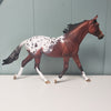 Fearless OOAK Bay Appaloosa Custom Palouse By Dawn Quick - SHCF24