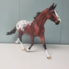 Fearless OOAK Bay Appaloosa Custom Palouse By Dawn Quick - SHCF24