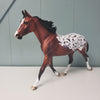 Fearless OOAK Bay Appaloosa Custom Palouse By Dawn Quick - SHCF24