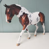 Confidence OOAK Bay Tobiano With Cat Tracks Custom Irish Draft By Dawn Quick - SHCF24