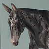 Karma OOAK Black Appaloosa Pebble Mule by Julie Keim - Best Offer 5/7/24