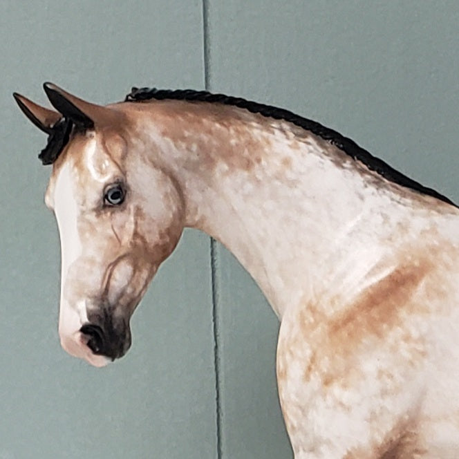 Dreams Come True OOAK Bay Appaloosa Custom Pony by Sheryl Leisure - Best Offer 5/7/24