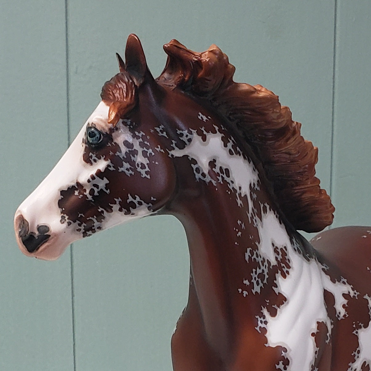 Henryk OOAK Frame Overo Custom ISH By Jess Hamill  - Best Offer 5/7/24