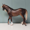 Trinidad OOAK Dappled Liver Chestnut  Walking ISH By Caroline Boydston - Best Offer 5/14/24