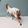 Kiss Me Once Again OOAK Chestnut Appaloosa Custom Palouse By Sheryl Leisure Best Offers 5/14/24