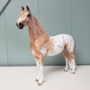 Miss Me Yet OOAK Chestnut Appaloosa Custom Morgan By Sheryl Leisure Best Offers 6/18/24