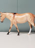 Art of the Horse Equilocity 2024 Friday Night Dinner