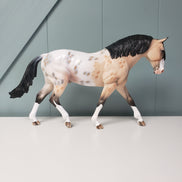 Bodacious OOAK Appaloosa Irish Draft By By Dawn Quick - SHCF24