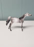 AMEDEUS-OOAK Dappled Grey Arab Chip By Julie Keim Donation Piece Keystone Arabian Exp.