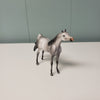 AMEDEUS-OOAK Dappled Grey Arab Chip By Julie Keim Donation Piece Keystone Arabian Exp.