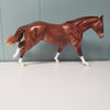 Firebrand OOAK Chestnut Solid Appaloosa Remington By Ellen Robbins - SHCF24