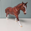 Firebrand OOAK Chestnut Solid Appaloosa Remington By Ellen Robbins - SHCF24