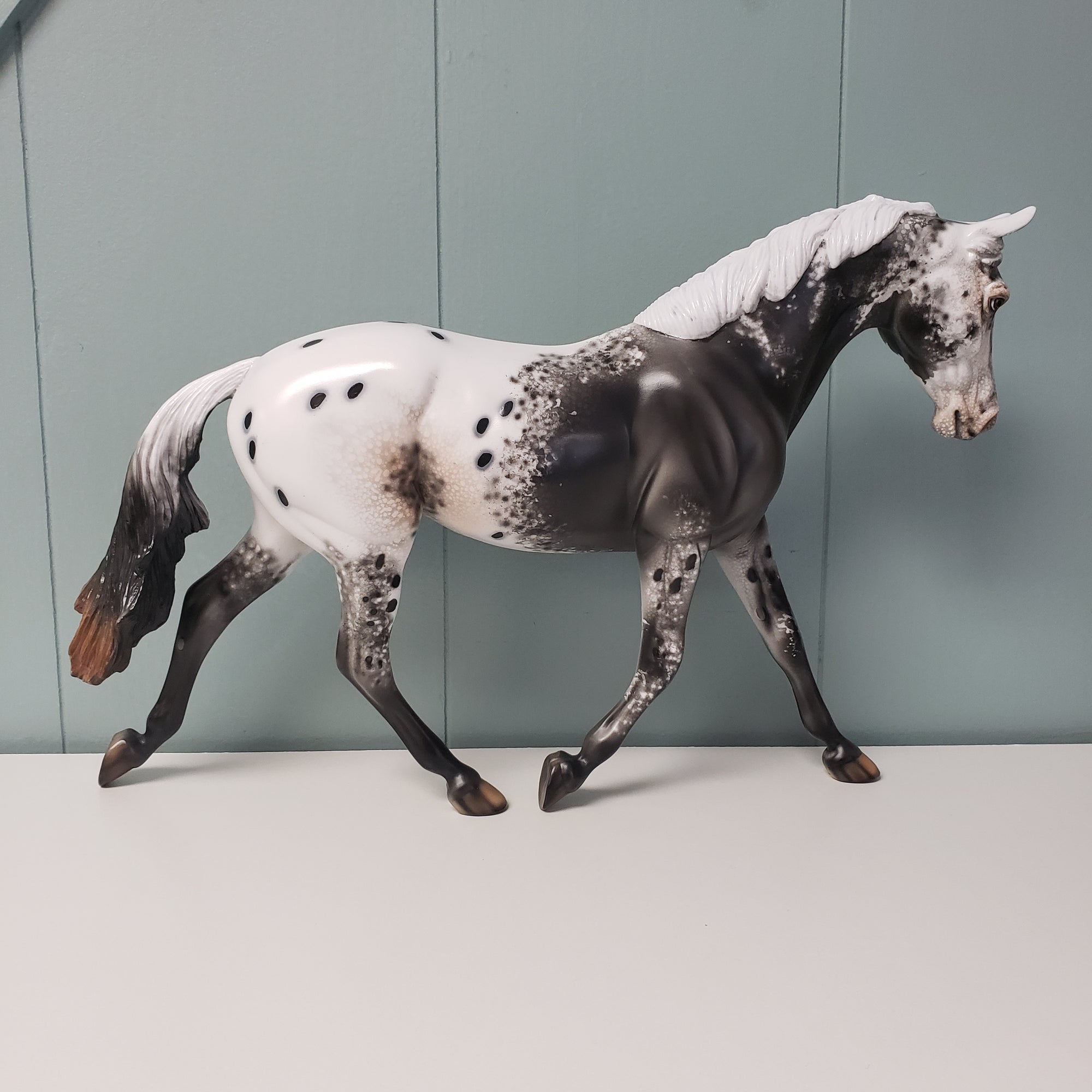 Lets Go OOAK Black Appaloosa Palouse By Dawn Quick - SHCF24