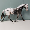 Lets Go OOAK Black Appaloosa Palouse By Dawn Quick - SHCF24