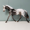 Lets Go OOAK Black Appaloosa Palouse By Dawn Quick - SHCF24