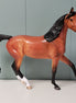 Arab Mare DAH Extra Piece SHCF24