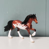 Canopy OOAK Bay Pinto Friesian Chip  By Dawn Quick - SHCF24