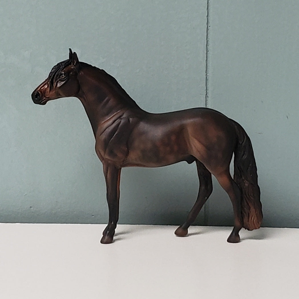 Zeus OOAK Dapples Dark Bay Andalusian Chip  By Julie Keim- SHCF24