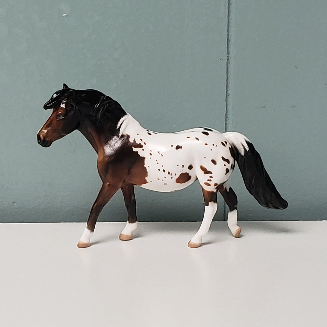 Skyler OOAK Bay Appaloosa Pony Chip  By Julie Keim- May Sample and OOAK Sale - SS524