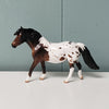 Skyler OOAK Bay Appaloosa Pony Chip  By Julie Keim- May Sample and OOAK Sale - SS524