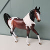 Visionary OOAK Dappled Bay W/ Mapping Tobiano Arab Mare By Dawn Quick - SHCF24