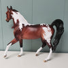 Visionary OOAK Dappled Bay W/ Mapping Tobiano Arab Mare By Dawn Quick - SHCF24