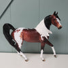 Visionary OOAK Dappled Bay W/ Mapping Tobiano Arab Mare By Dawn Quick - SHCF24