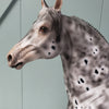 Velocity OOAK Black Leopard Appaloosa W/ Mottling Morgan By Dawn Quick - SHCF24