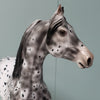 Velocity OOAK Black Leopard Appaloosa W/ Mottling Morgan By Dawn Quick - SHCF24