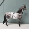 Velocity OOAK Black Leopard Appaloosa W/ Mottling Morgan By Dawn Quick - SHCF24