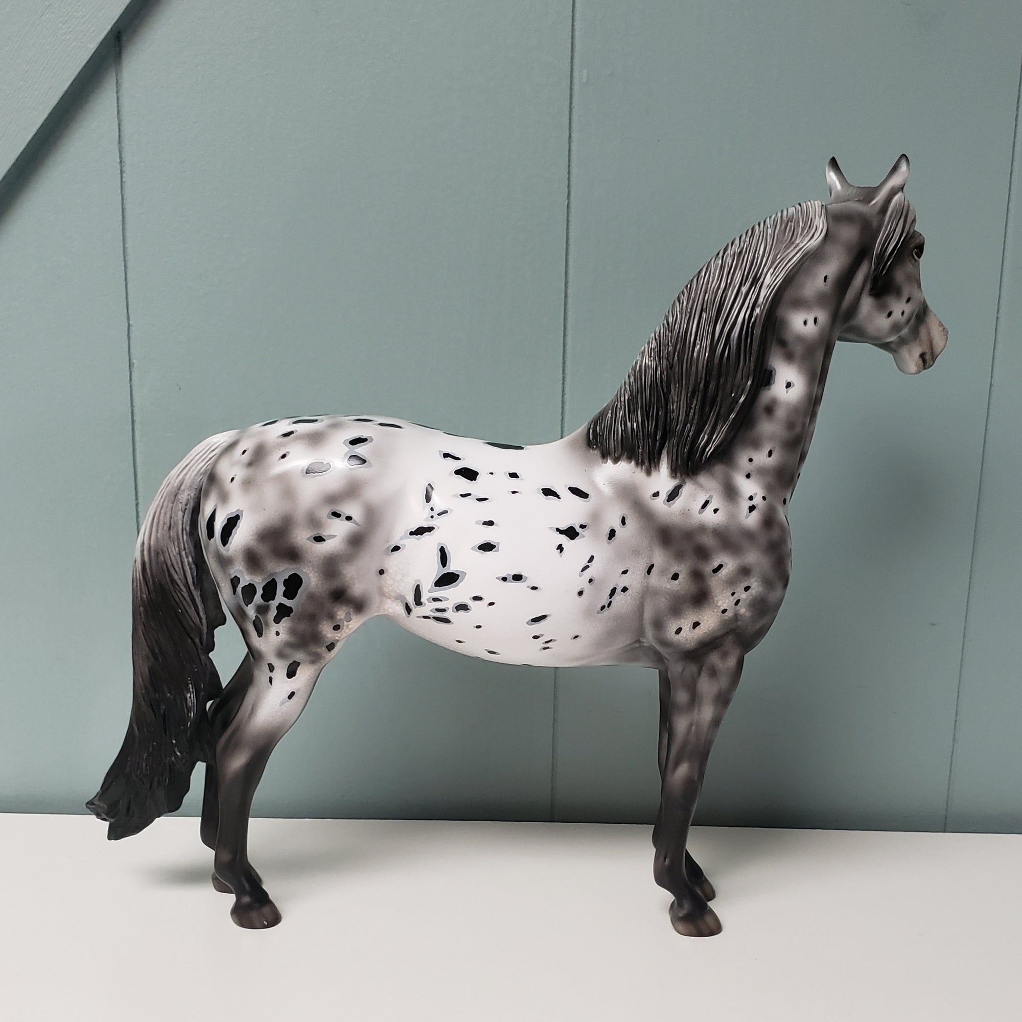 Velocity OOAK Black Leopard Appaloosa W/ Mottling Morgan By Dawn Quick - SHCF24