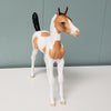 Tahlia OOAK Buckskin Tobiano Arabian Foal By Dawn Quick - SHCF24