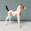 Tahlia OOAK Buckskin Tobiano Arabian Foal By Dawn Quick - SHCF24