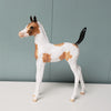 Tahlia OOAK Buckskin Tobiano Arabian Foal By Dawn Quick - SHCF24