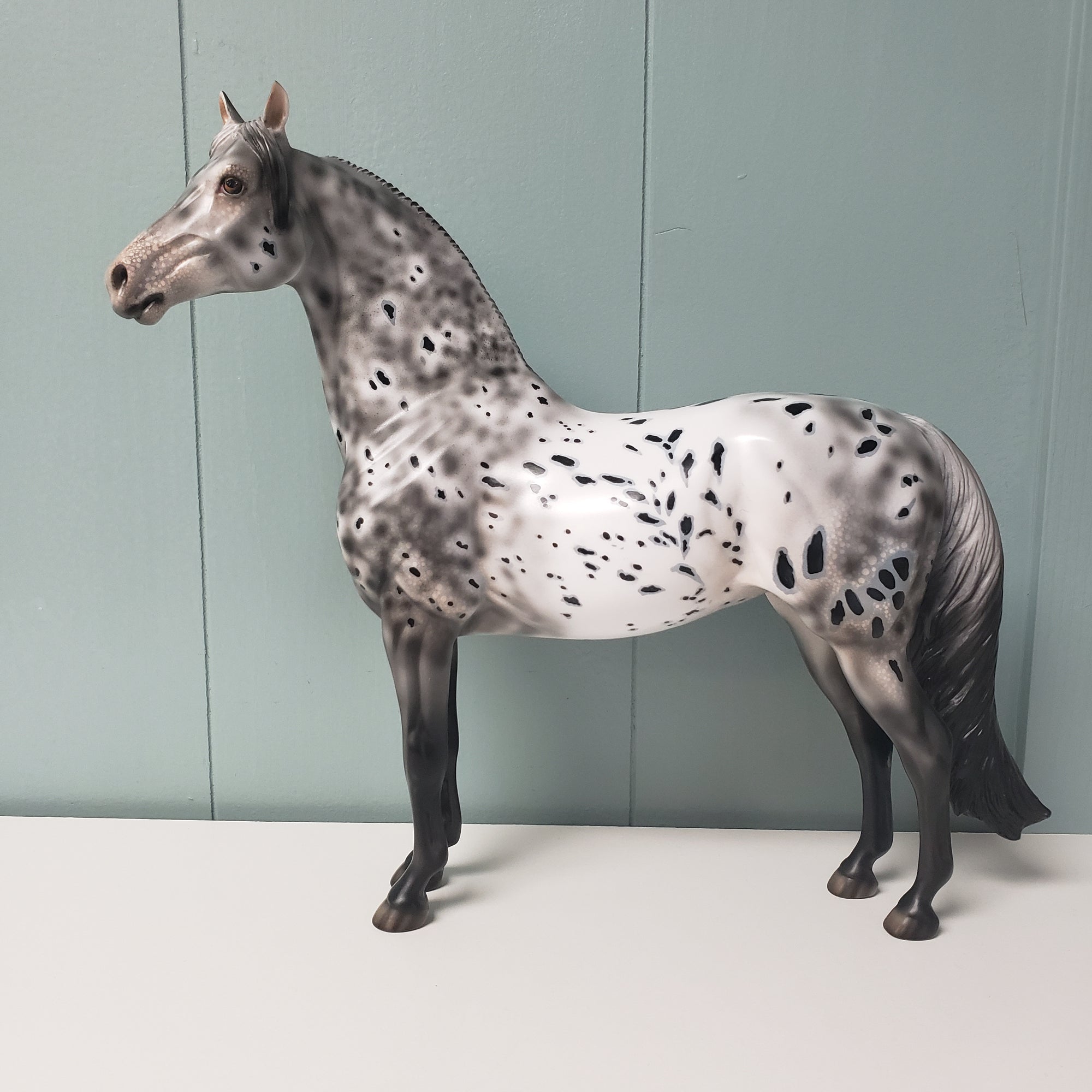 Velocity OOAK Black Leopard Appaloosa W/ Mottling Morgan By Dawn Quick - SHCF24