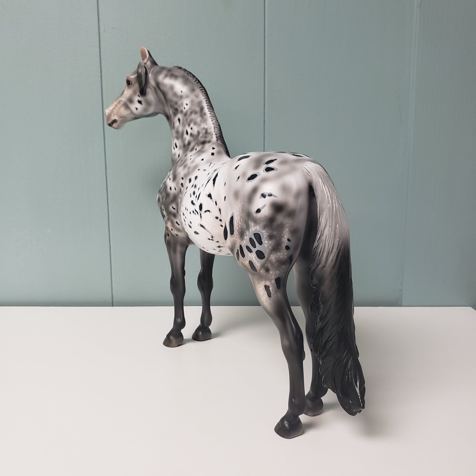 Velocity OOAK Black Leopard Appaloosa W/ Mottling Morgan By Dawn Quick - SHCF24