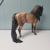 Sapodilla OOAK Dun Custom Andalusian By Jess Hamill - SHCF24