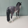 Acai OOAK Bay Roan Overo Custom Andalusian MARE By Jess Hamill - SHCF24